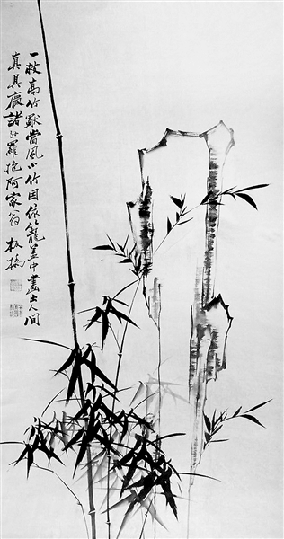 1553223332657098.jpg 2.jpg